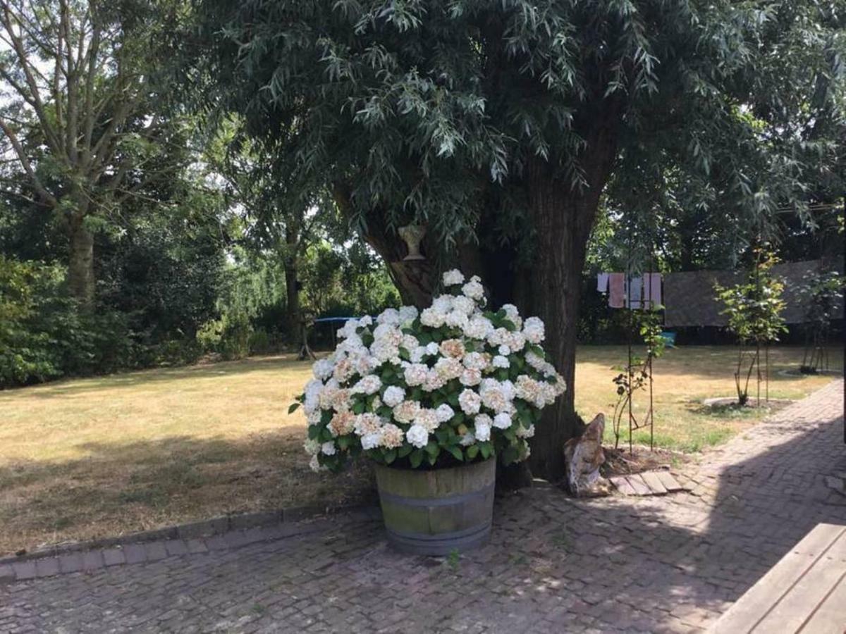 Royale Bovenwoning Villa Vlake Eksteriør billede